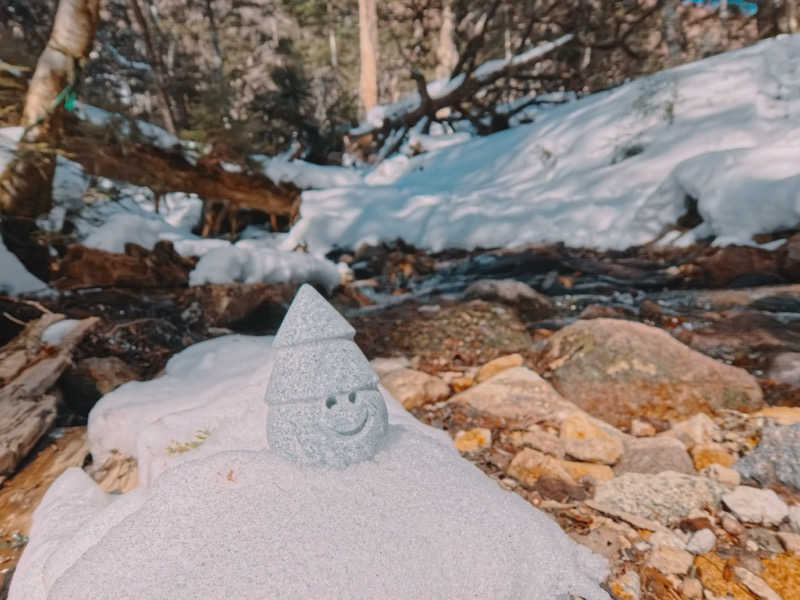 メシソン増田さんの八峰の湯(ヤッホーの湯)のサ活写真