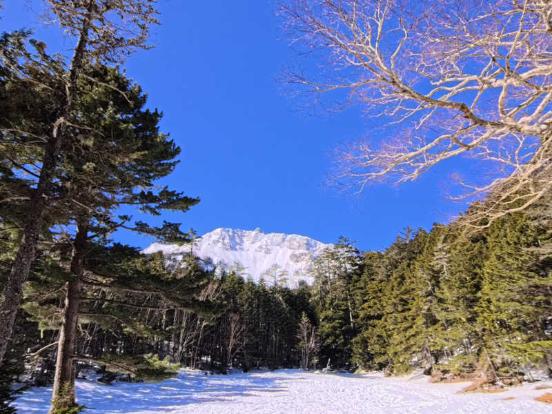 メシソン増田さんの八峰の湯(ヤッホーの湯)のサ活写真