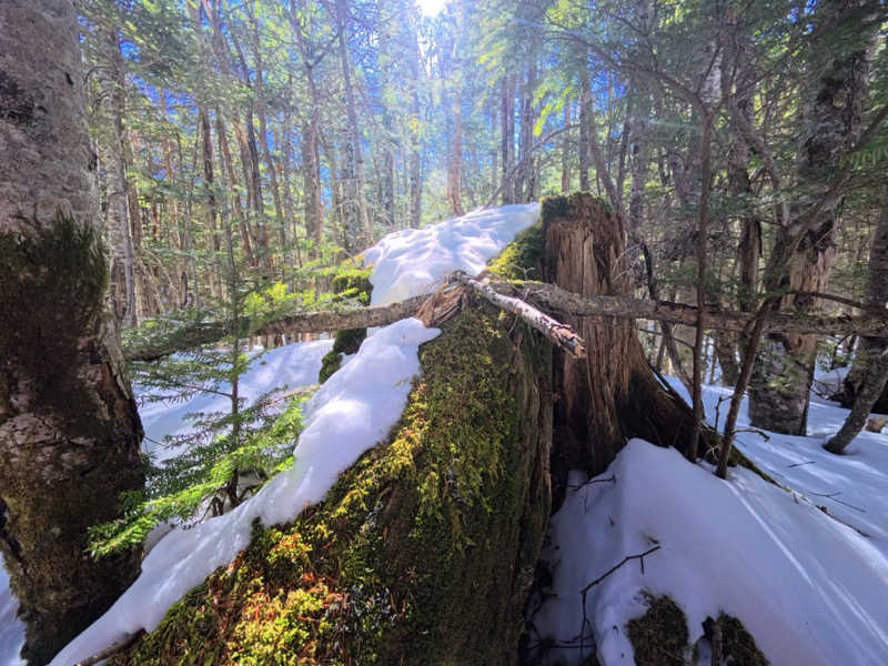 メシソン増田さんの八峰の湯(ヤッホーの湯)のサ活写真