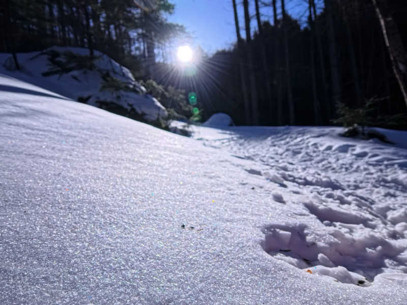 メシソン増田さんの八峰の湯(ヤッホーの湯)のサ活写真