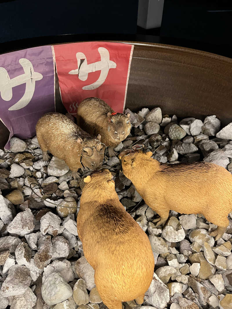 ぁみさんの富士山天然水SPA サウナ鷹の湯のサ活写真