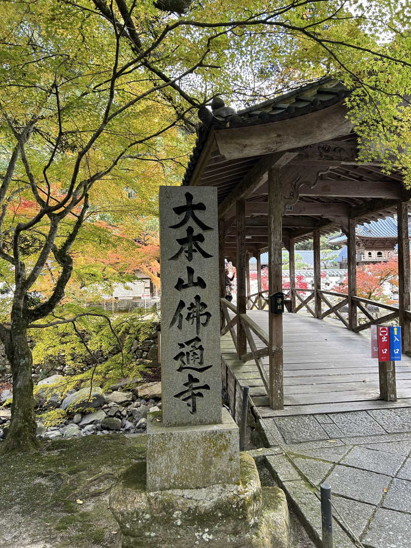 きゅうさんの尾道平原温泉 ぽっぽの湯のサ活写真