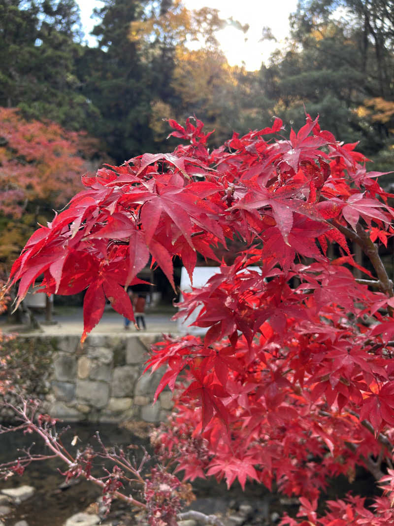きゅうさんの尾道平原温泉 ぽっぽの湯のサ活写真