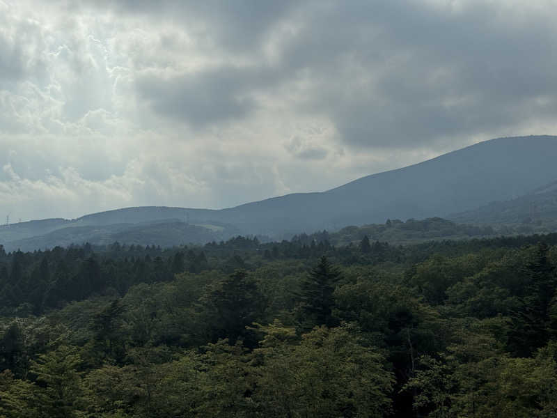 テングちゃんさんの富士スピードウェイホテル、アンバウンド コレクション by Hyatt Omika Wellness&Spaのサ活写真