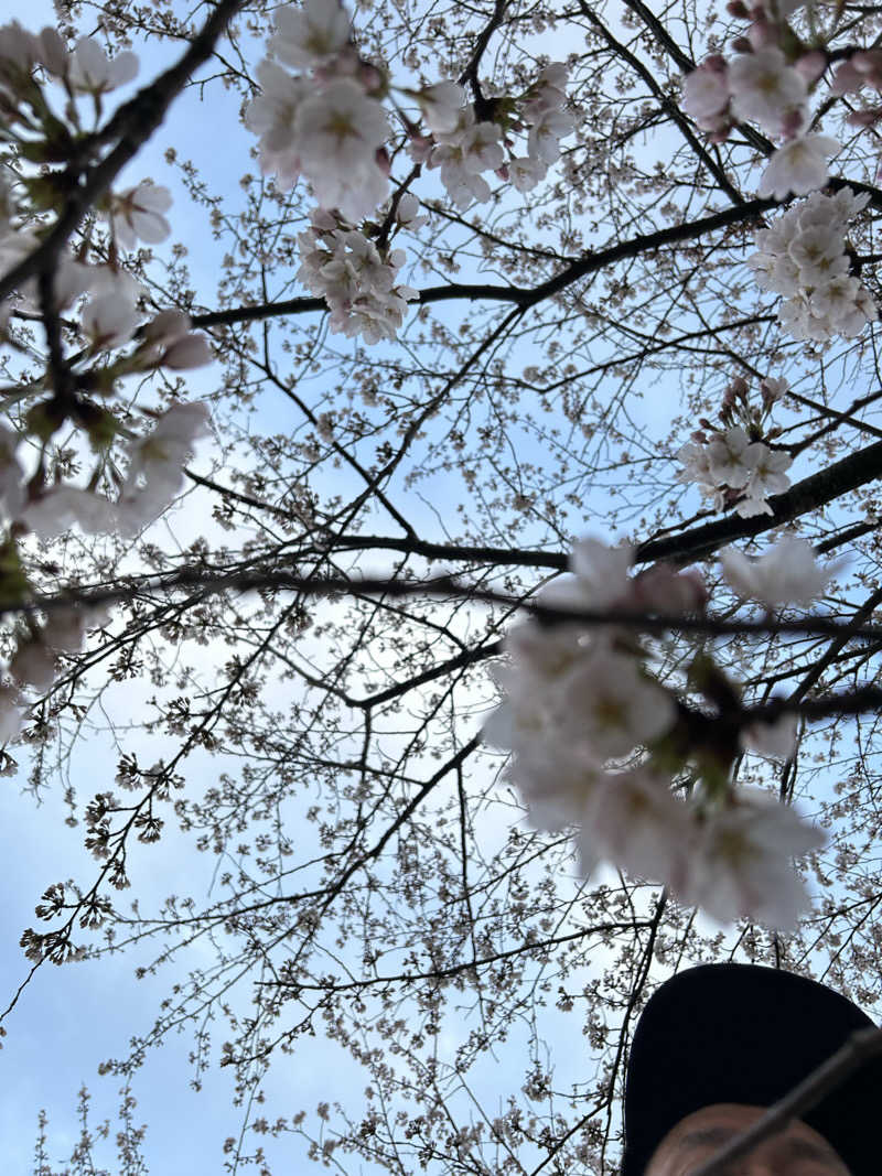 中倉直樹さんの37BASEのサ活写真