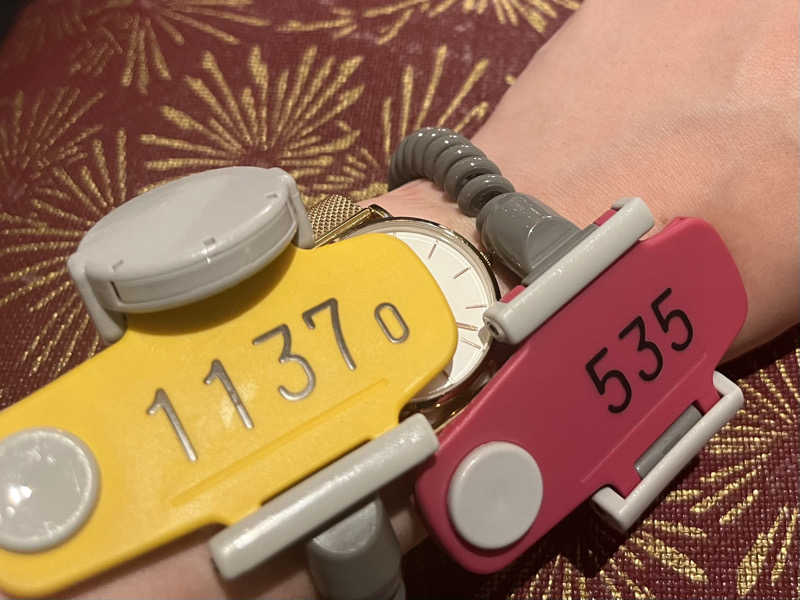 さぶさんの天然温泉 湯舞音 袖ケ浦店のサ活写真