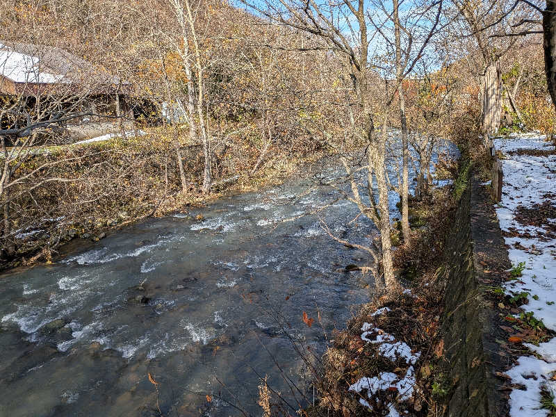 ゆかさんの旅房はなえみのサ活写真
