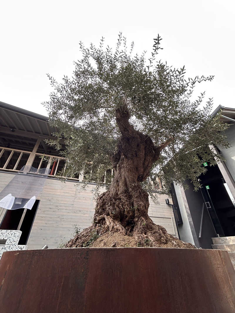 NB3さんのsauna kolme kylä (サウナ コルメ キュラ)のサ活写真