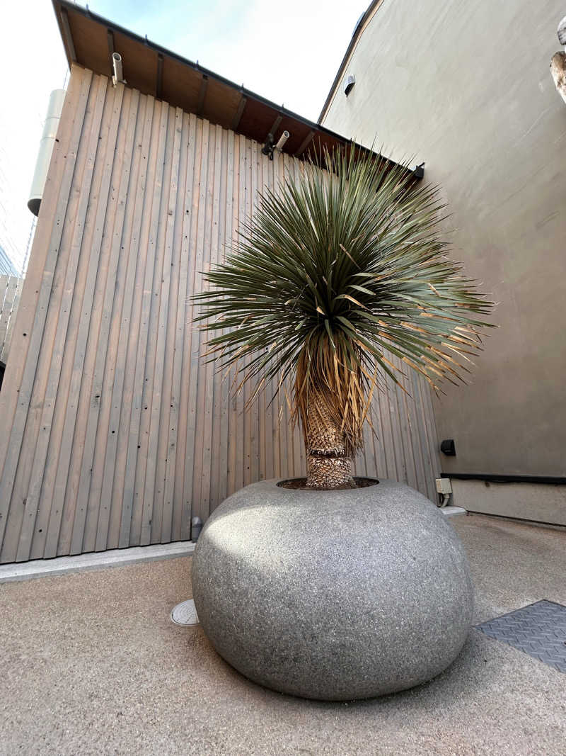 NB3さんのsauna kolme kylä (サウナ コルメ キュラ)のサ活写真