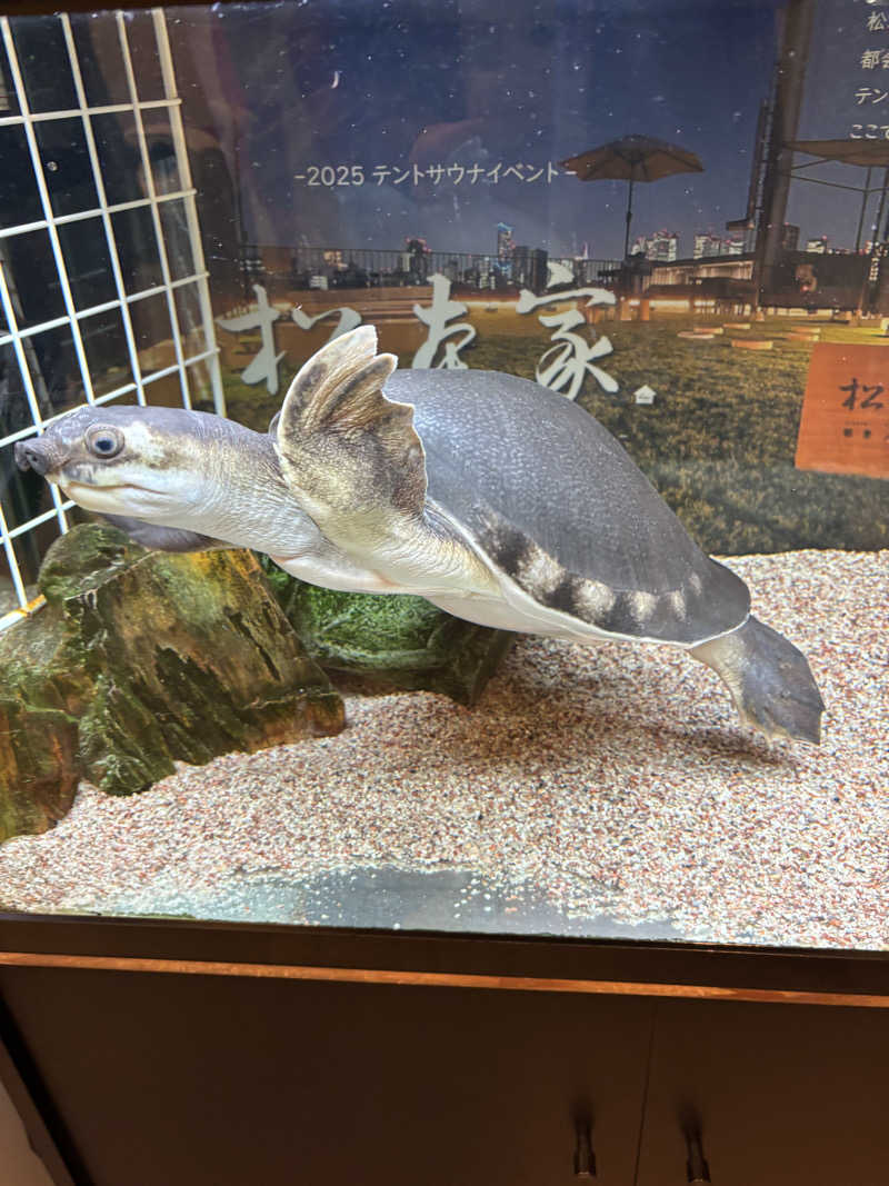 Healthyさんの松本湯のサ活写真