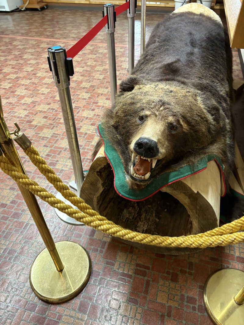 まさぞーさんのたきのうえホテル渓谷のサ活写真