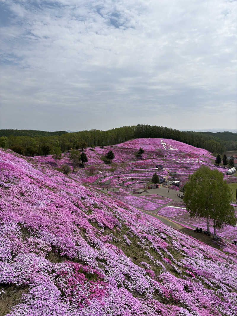 まさぞーさんの大空町 ふれあいセンター フロックスのサ活写真