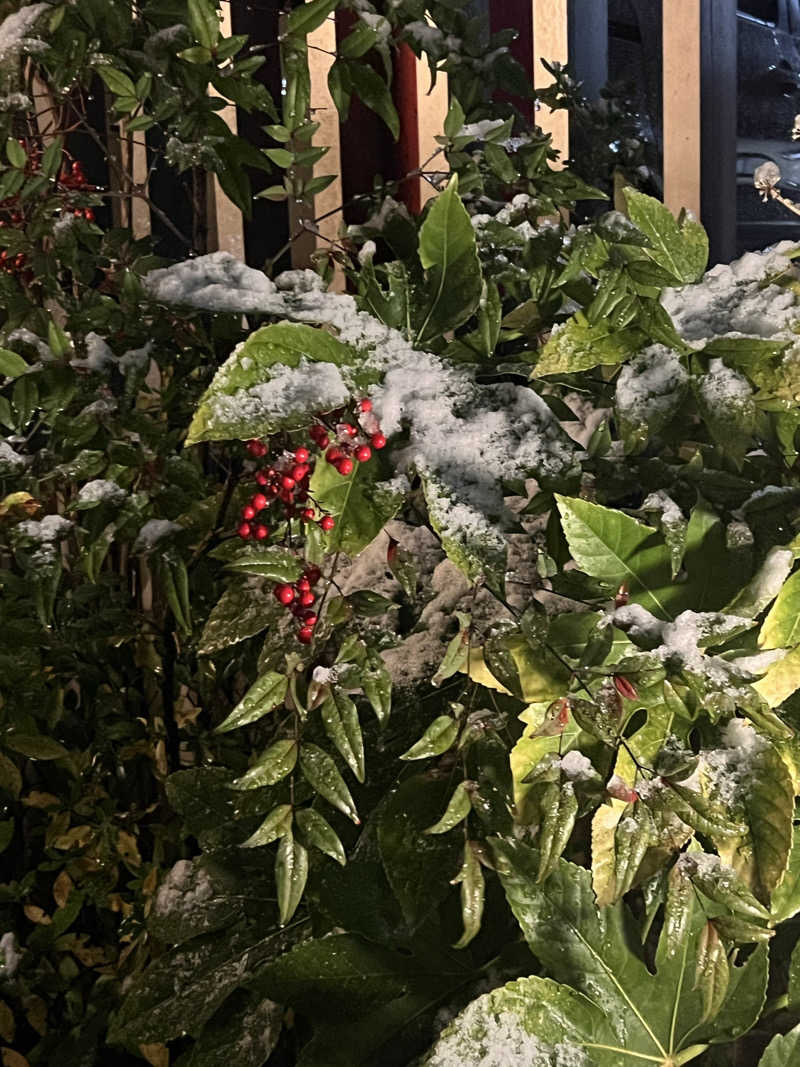 🈂️ァさんの稲城天然温泉 季乃彩(ときのいろどり )のサ活写真