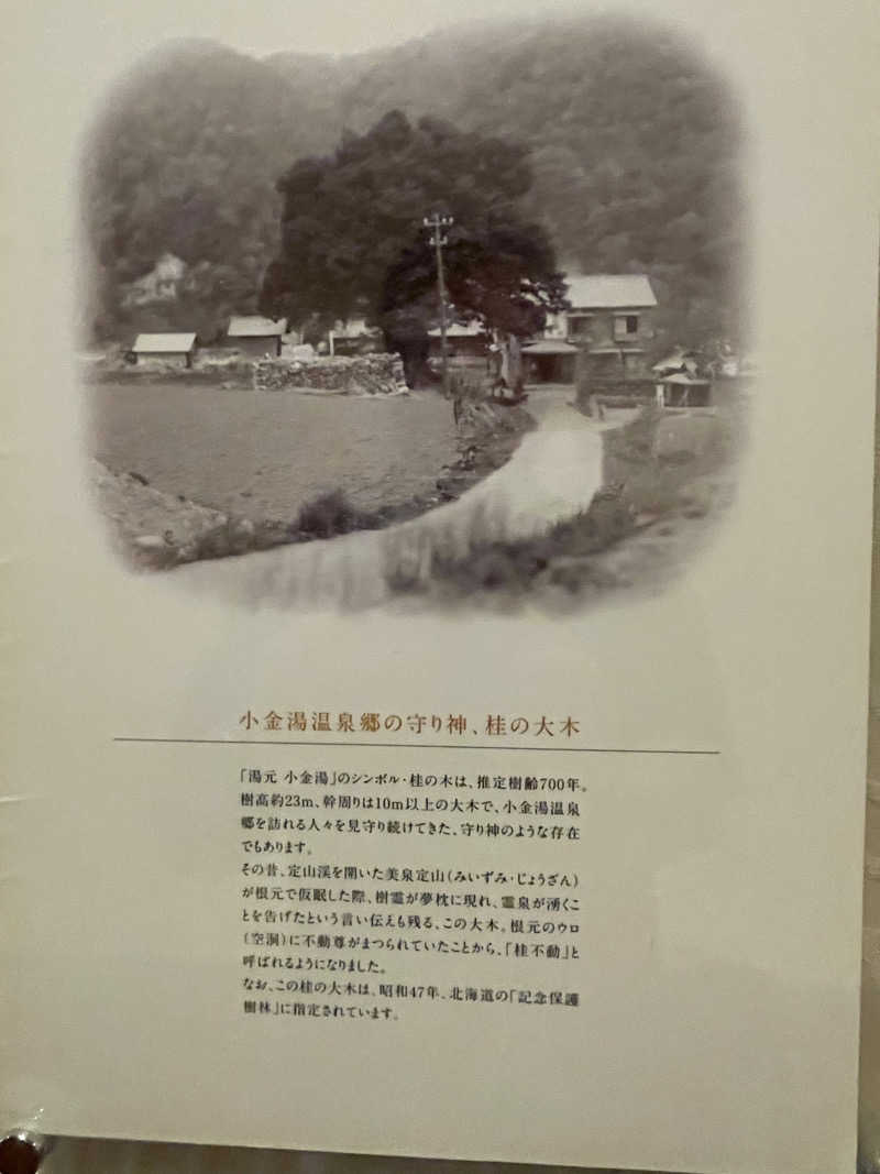 あかつきさんの小金湯温泉 湯元 小金湯のサ活写真