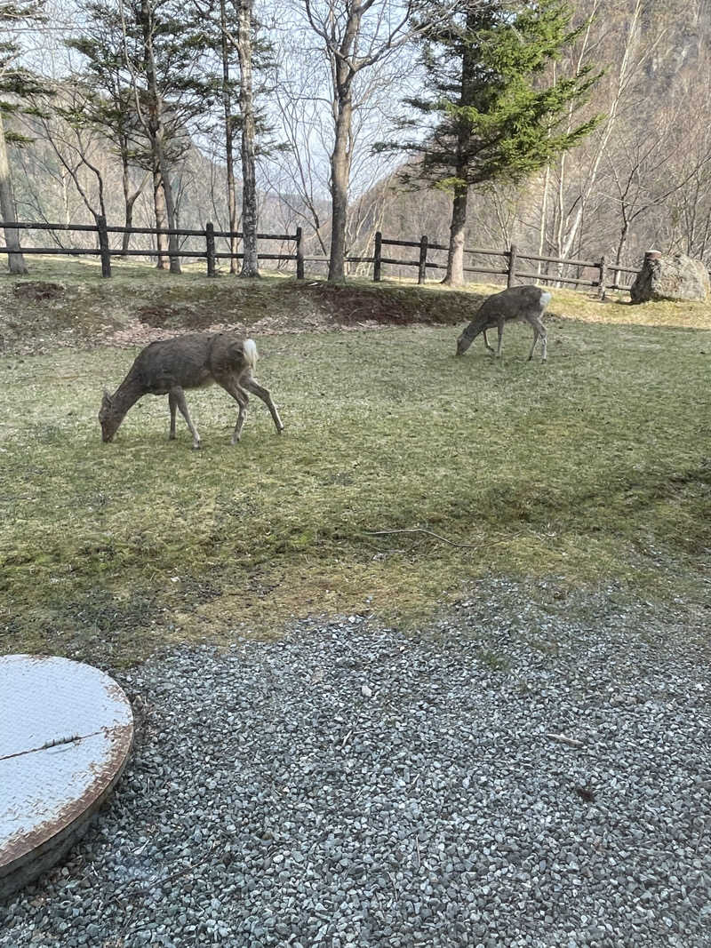 あかつきさんのホテル大雪 ONSEN & CANYON  RESORTのサ活写真