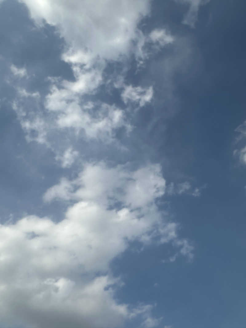 ぷちょにょさんの5737コンナサウナのサ活写真