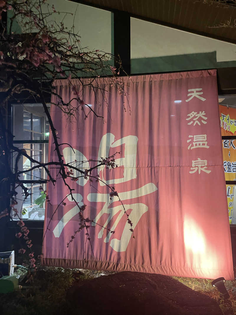 チロワさんの天然温泉 真名井の湯 大井店のサ活写真