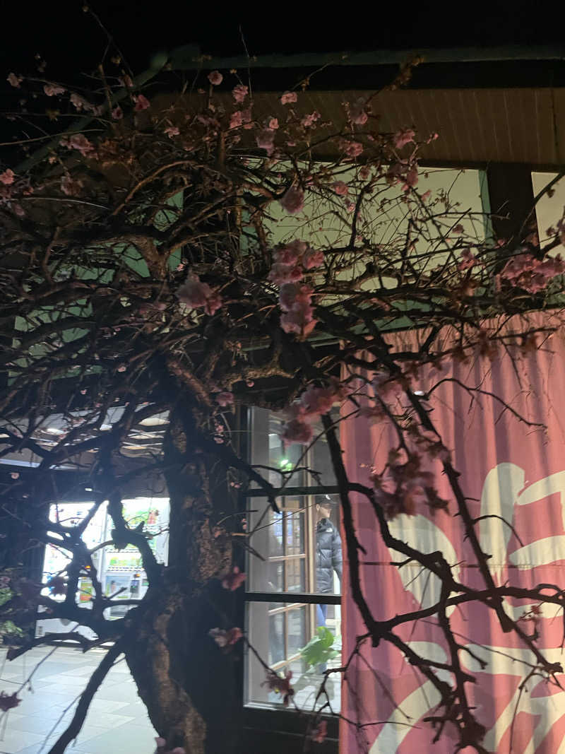 チロワさんの天然温泉 真名井の湯 大井店のサ活写真