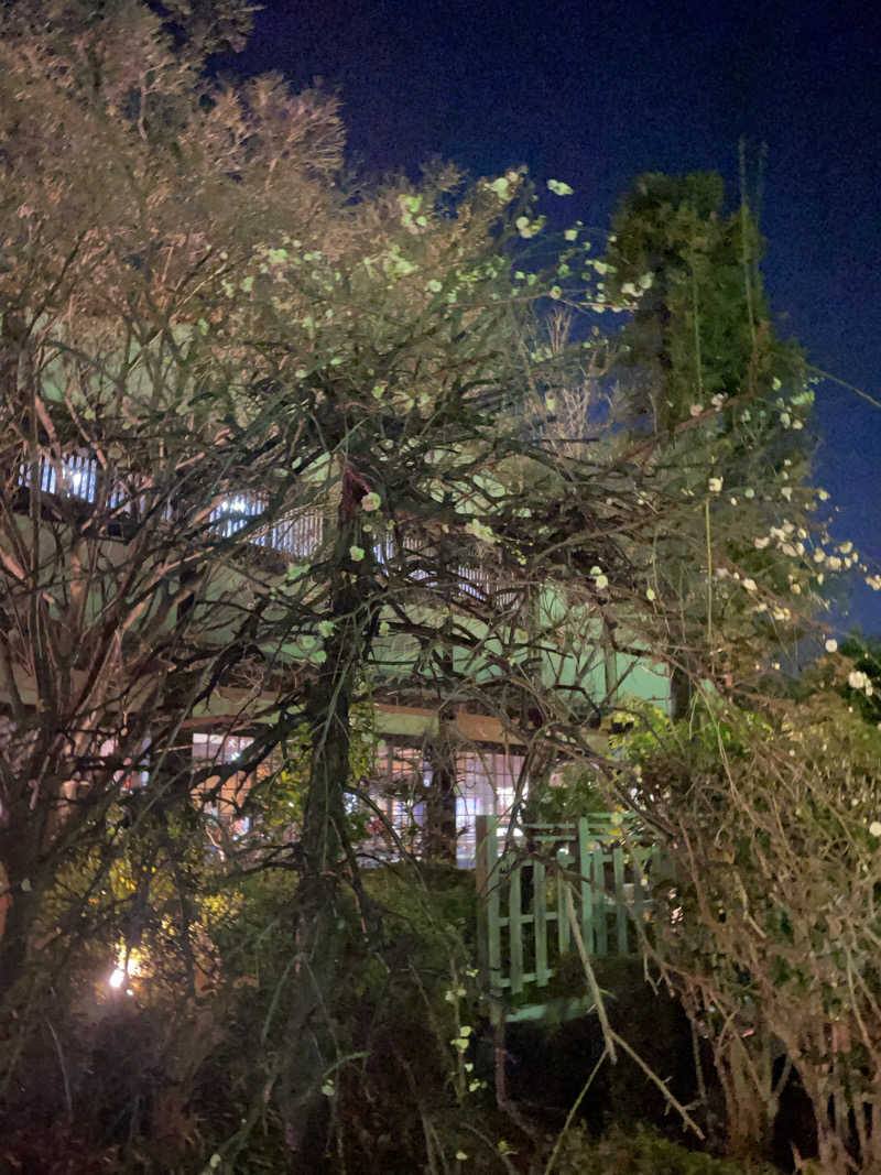 チロワさんの天然温泉 真名井の湯 大井店のサ活写真