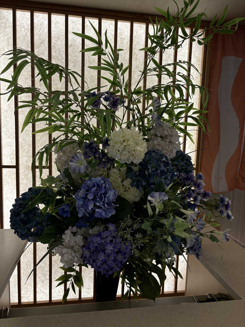 やーしんさんのスパメッツァ おおたか 竜泉寺の湯のサ活写真