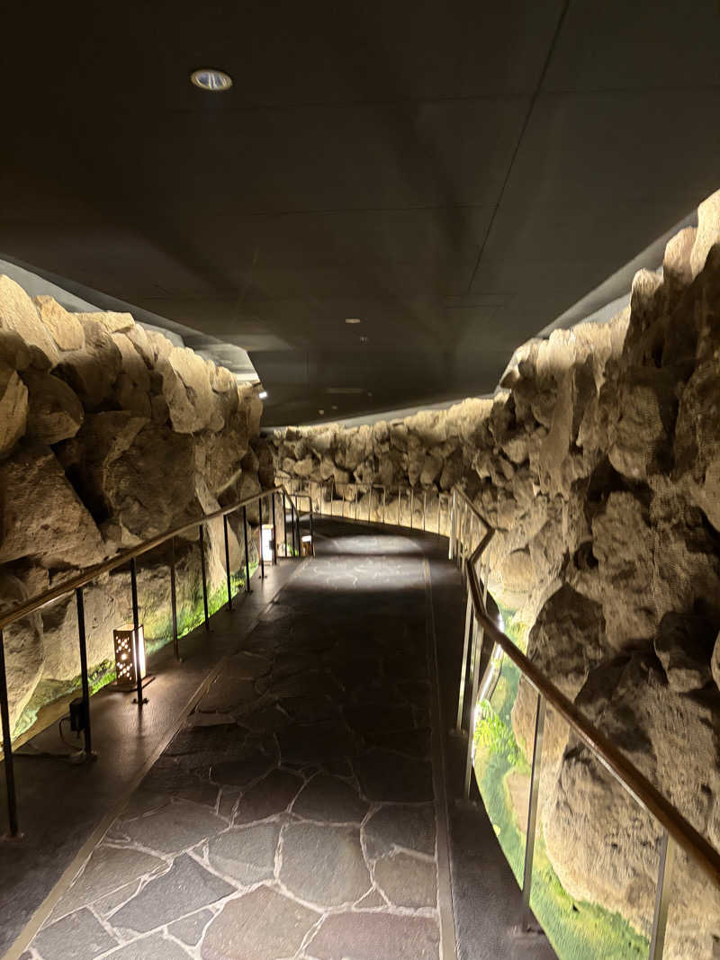 すーさんのTAOYA白浜千畳のサ活写真