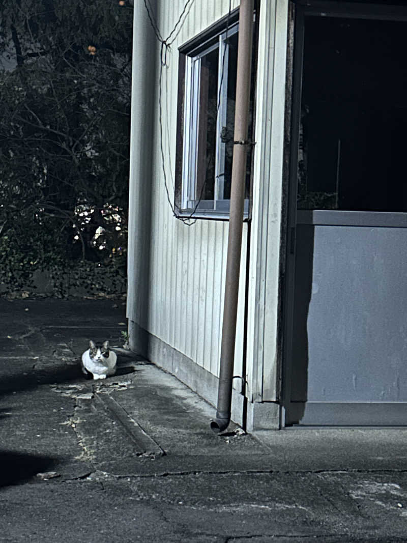 サウナPHVさんの観音山サウナ蒸寺のサ活写真