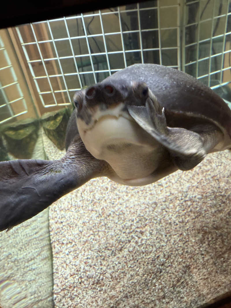 シカノヒトさんの松本湯のサ活写真