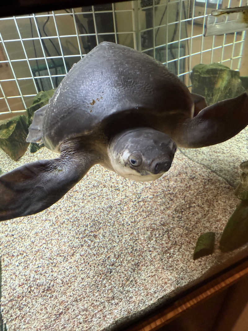 シカノヒトさんの松本湯のサ活写真