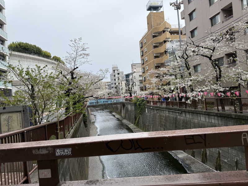 シカノヒトさんの文化浴泉のサ活写真