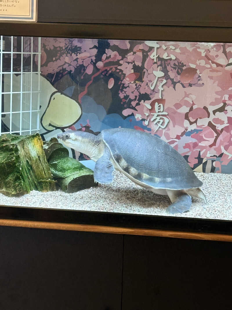 シカノヒトさんの松本湯のサ活写真