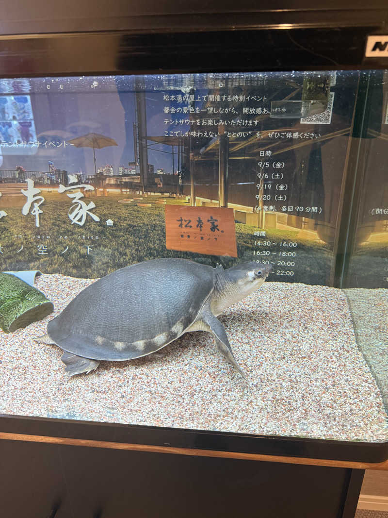 シカノヒトさんの松本湯のサ活写真