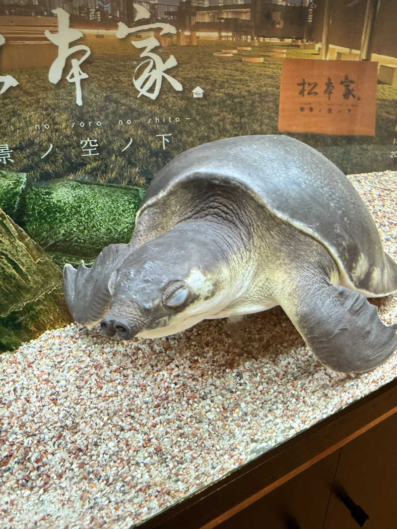 シカノヒトさんの松本湯のサ活写真