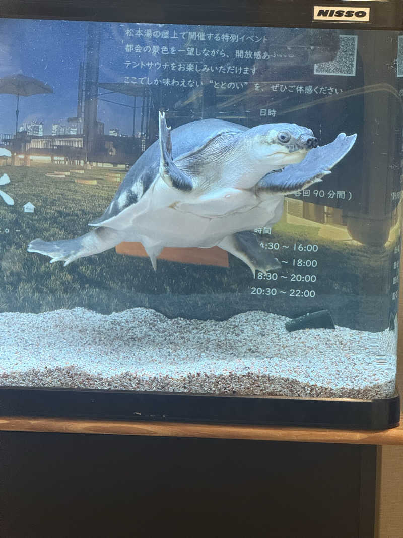 シカノヒトさんの松本湯のサ活写真