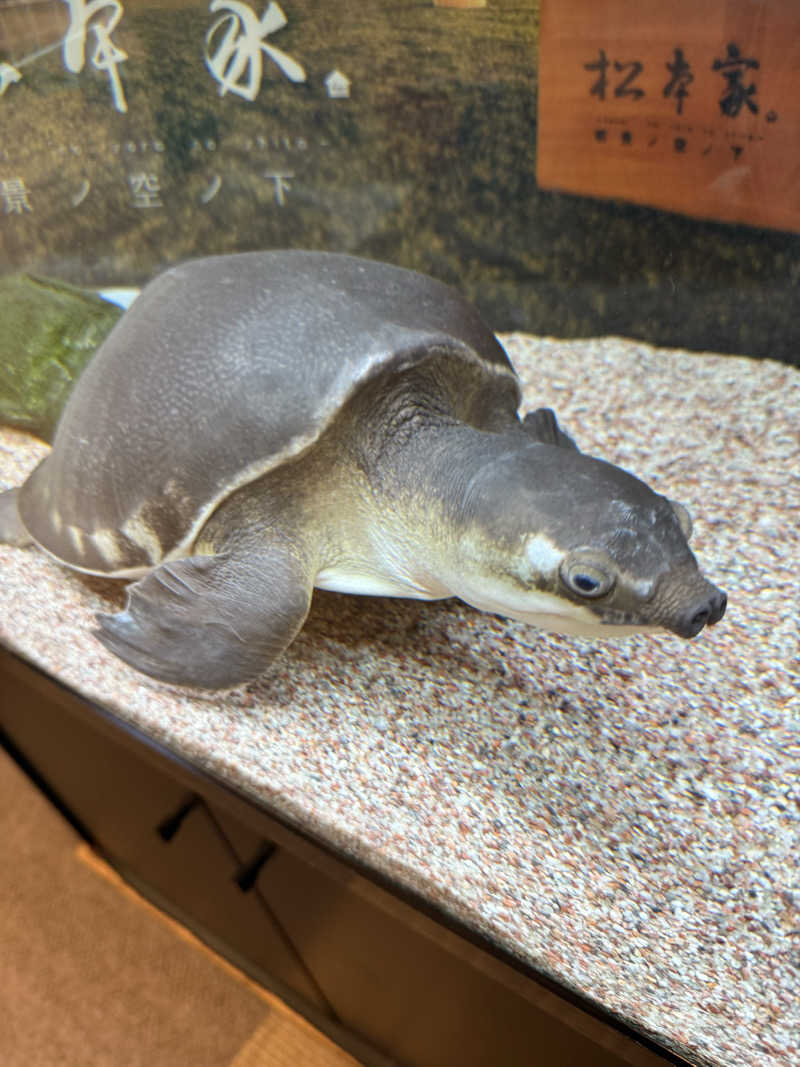 シカノヒトさんの松本湯のサ活写真