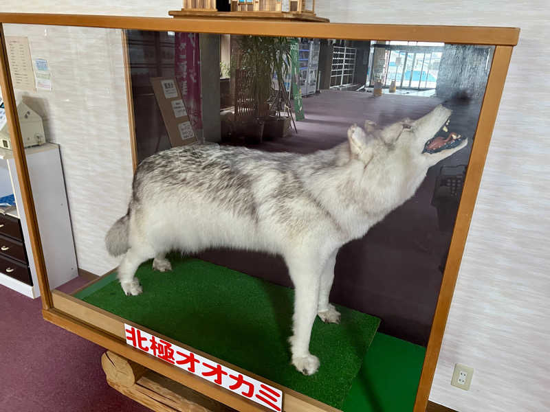 さ̤̮さ̤̮の̤̮は̤̮(•ꀎ•)@ASAさんのおおびらき温泉のサ活写真