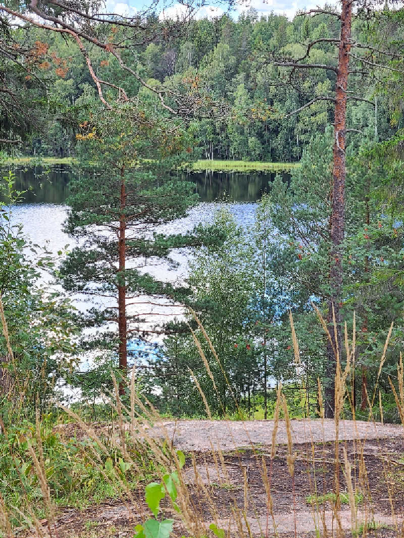 こひつじちゃんさんのCafe Kuusijärviのサ活写真