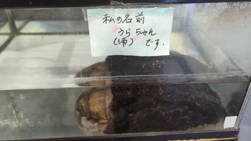 sausaさんの養老温泉郷 天然温泉 うら湯のサ活写真