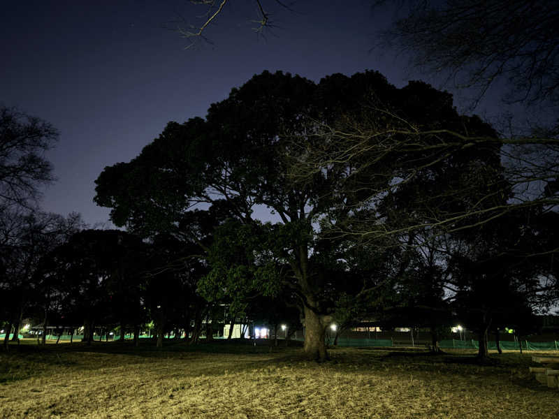 SAMMUNEさんの東京スポーツ文化館(BumB)のサ活写真