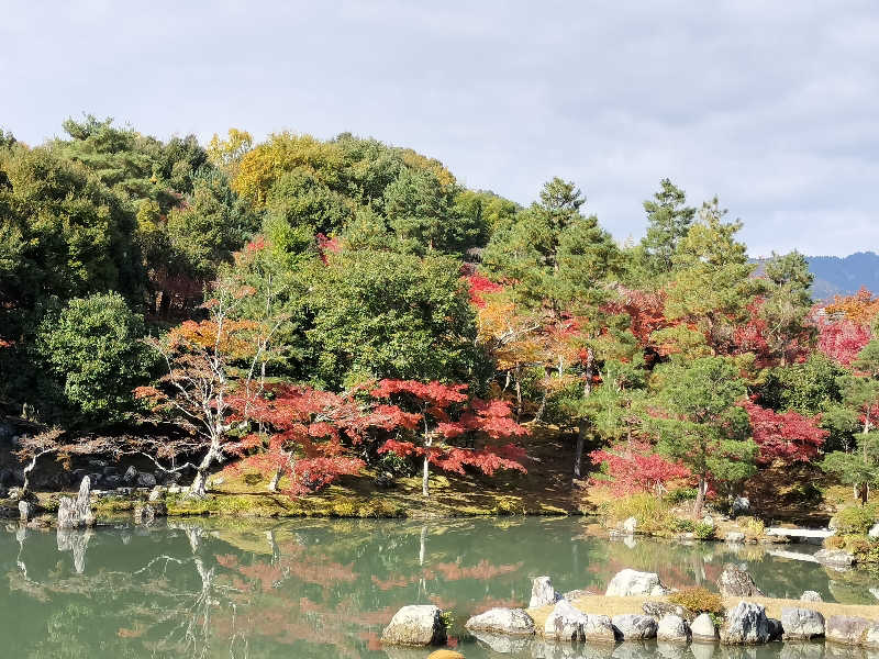 フィズさんのさがの温泉 天山の湯のサ活写真