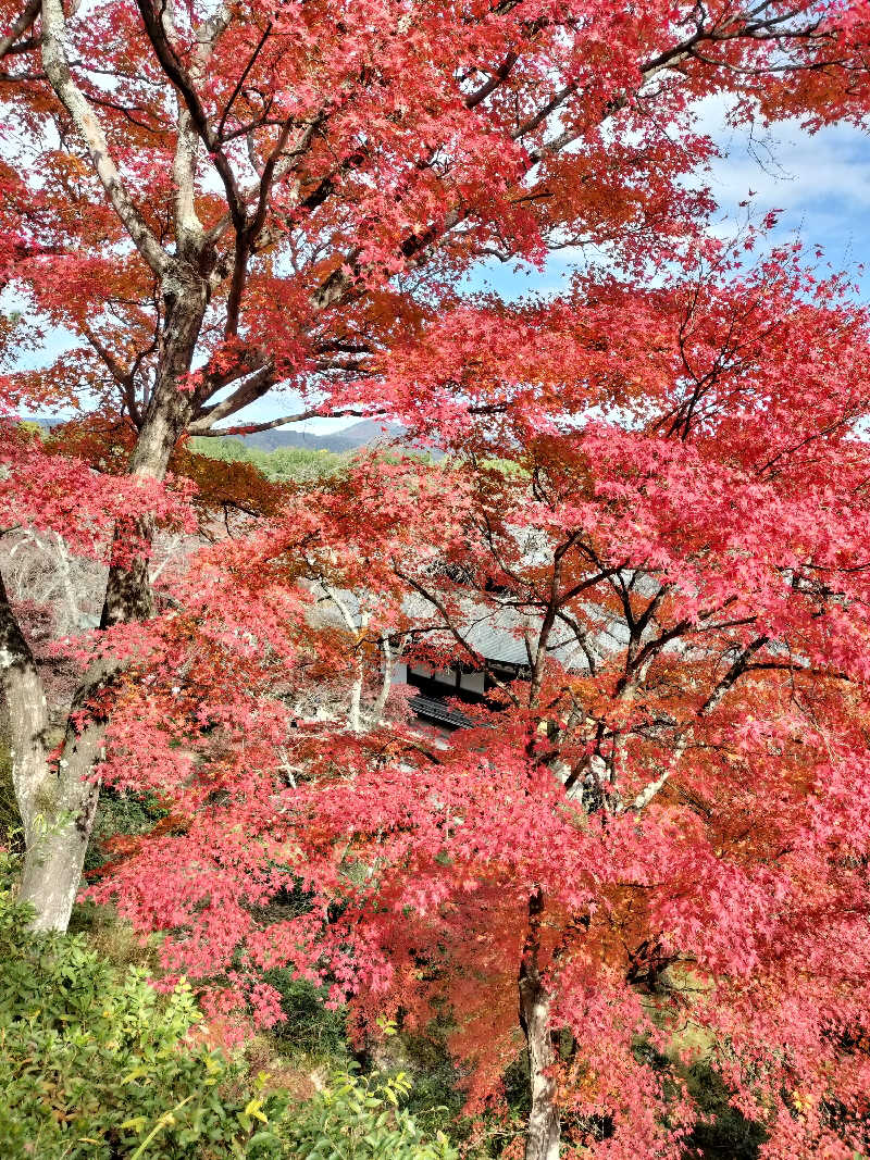 フィズさんのさがの温泉 天山の湯のサ活写真