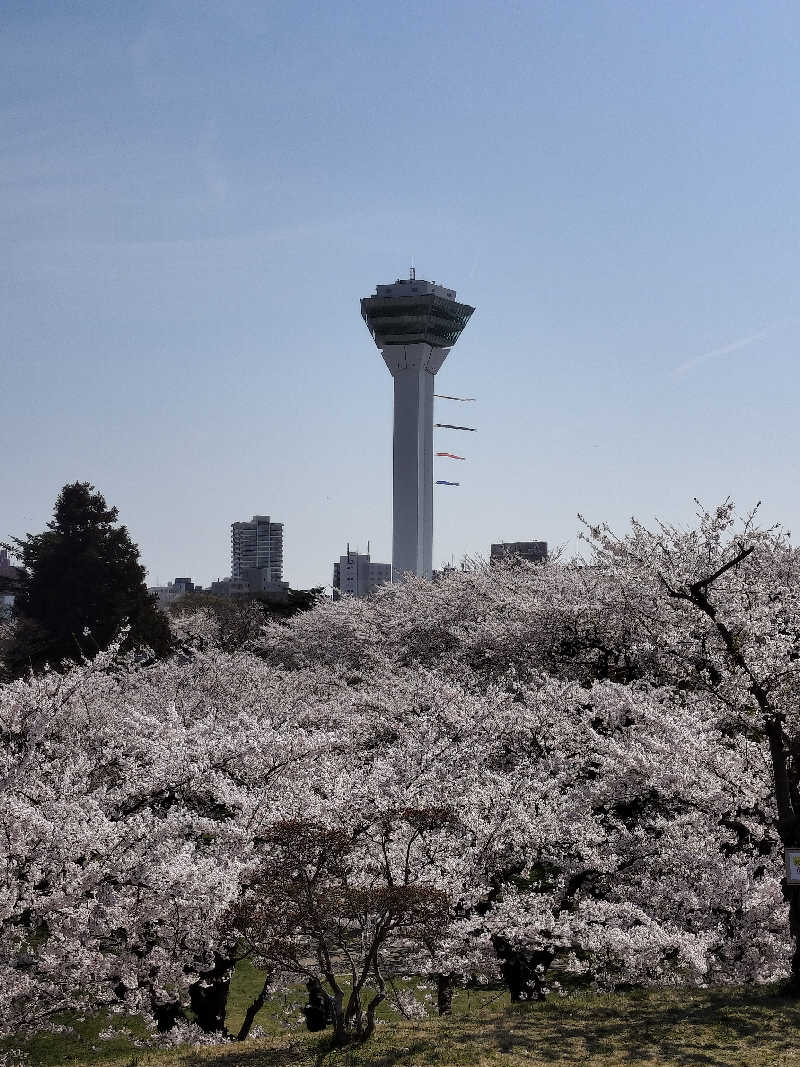 フィズさんのLC五稜郭ホテルのサ活写真