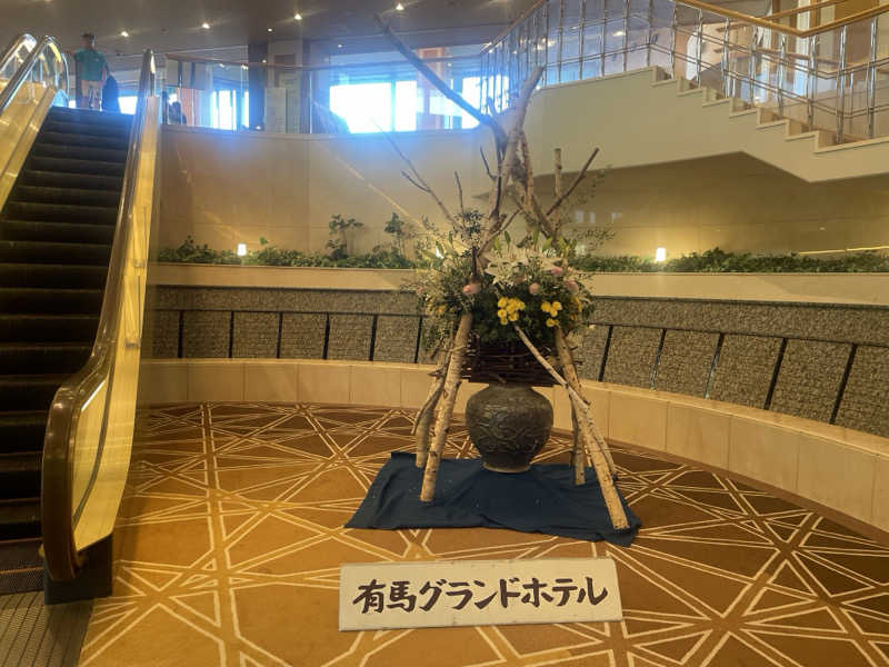 めーさんの有馬グランドホテル 雲海のサ活写真
