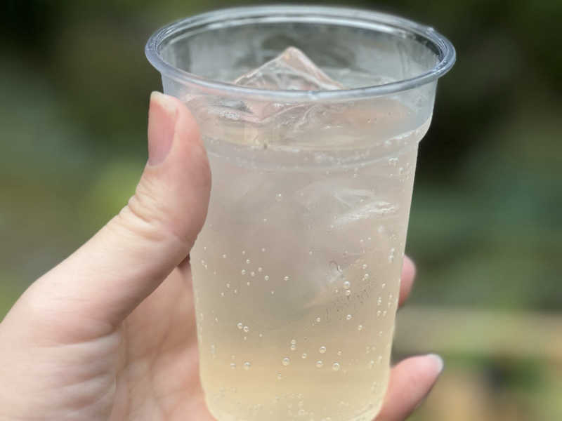 sanga soda