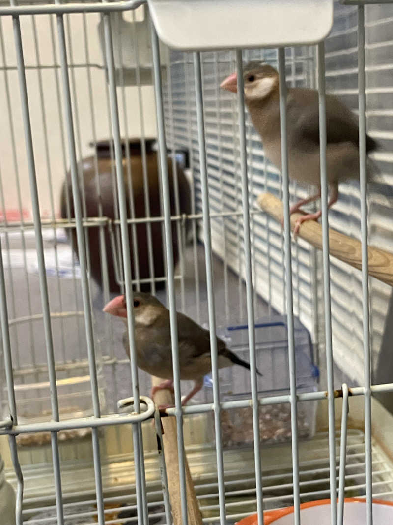 ナオさんの宝栄湯のサ活写真