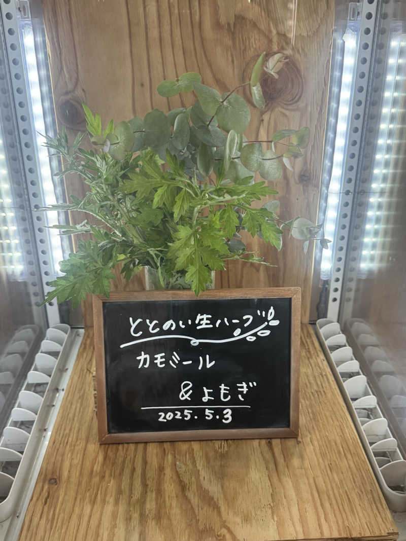 とらとらさんの各務原 恵みの湯のサ活写真
