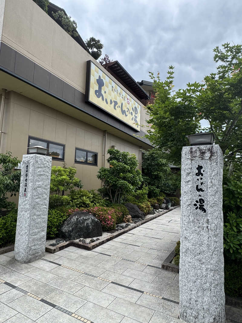 とらとらさんの豊田挙母温泉 おいでんの湯のサ活写真