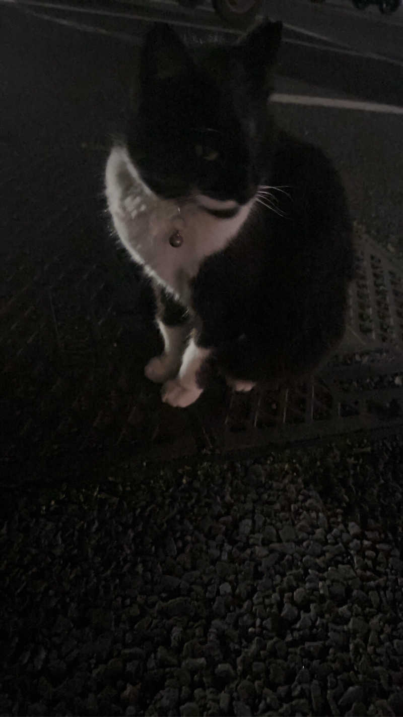とにかくけだるいブラハマさんの潮騒の湯のサ活写真