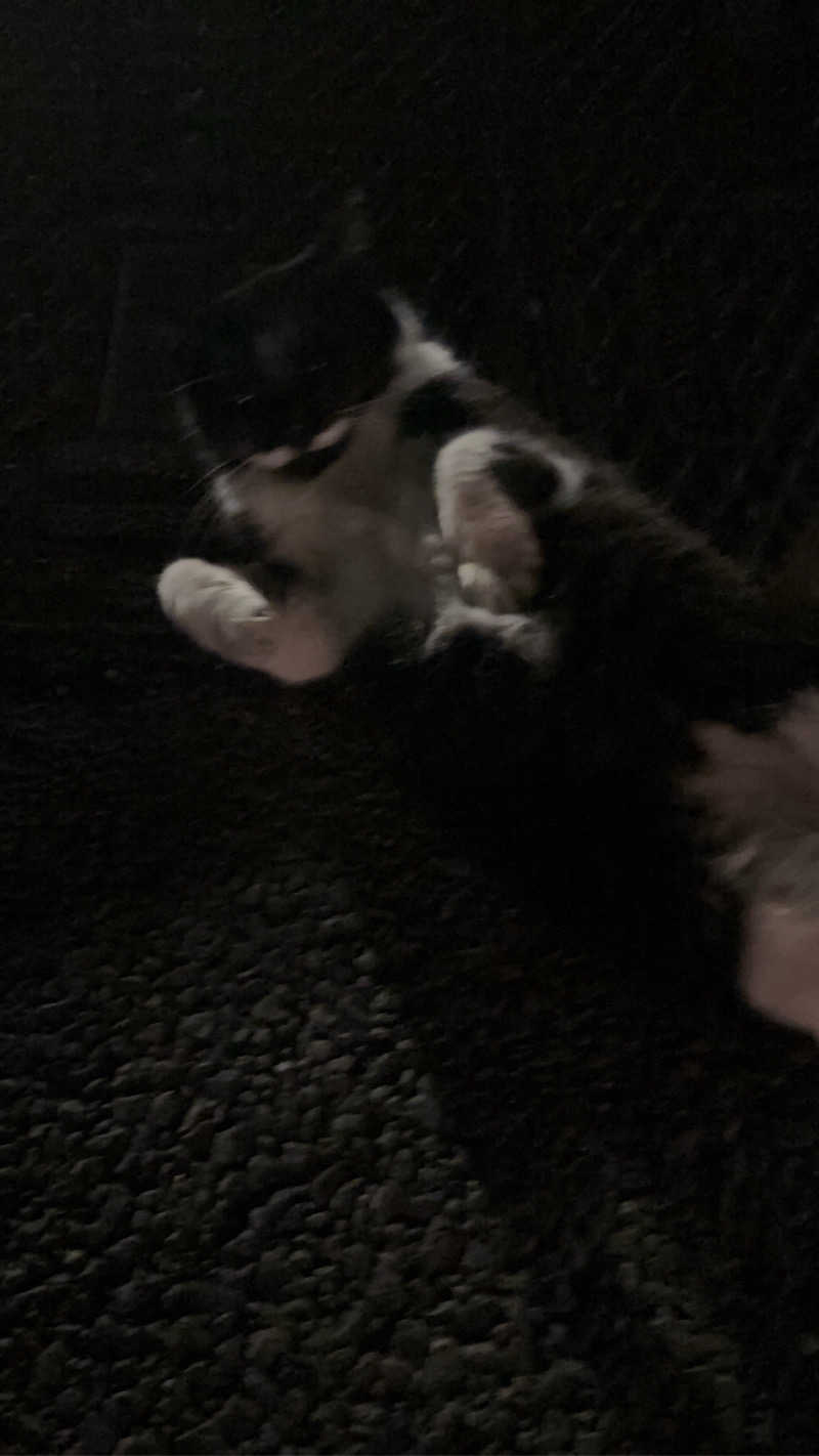 とにかくけだるいブラハマさんの潮騒の湯のサ活写真