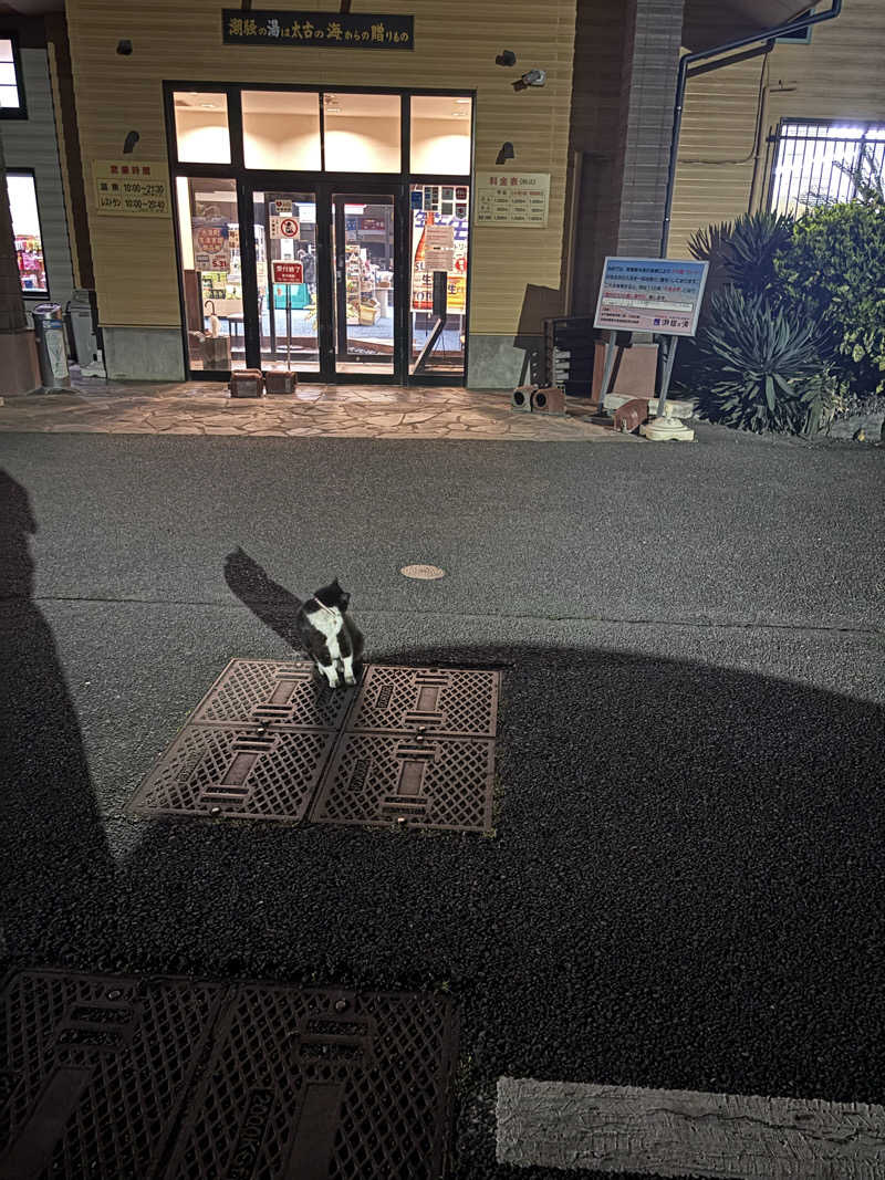 とにかくけだるいブラハマさんの潮騒の湯のサ活写真