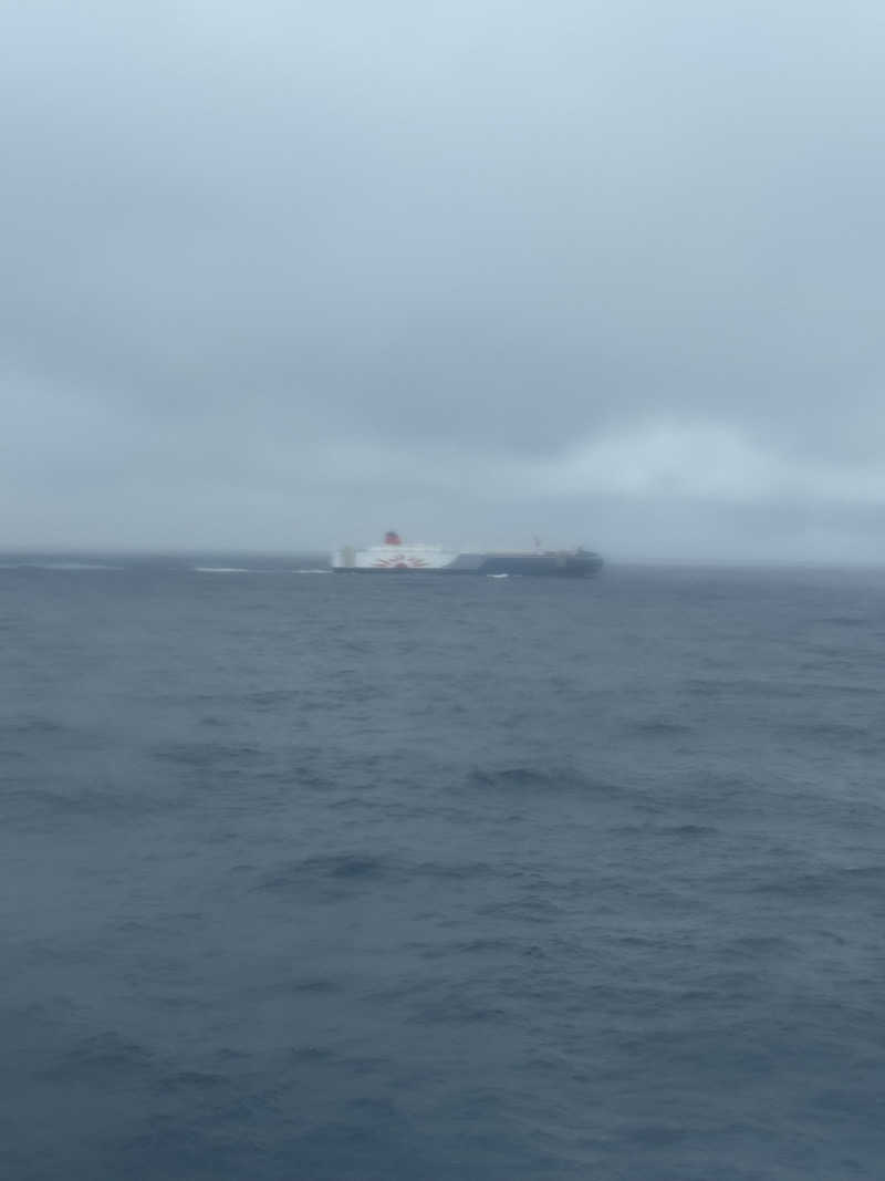 sin.kさんのさんふらわあ ふらの(商船三井さんふらわあ)のサ活写真